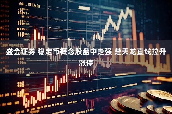 盛金证券 稳定币概念股盘中走强 楚天龙直线拉升涨停