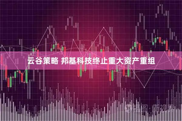 云谷策略 邦基科技终止重大资产重组