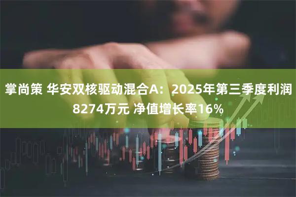 掌尚策 华安双核驱动混合A:2025年第三季度利润8274万元 净值增长率16%
