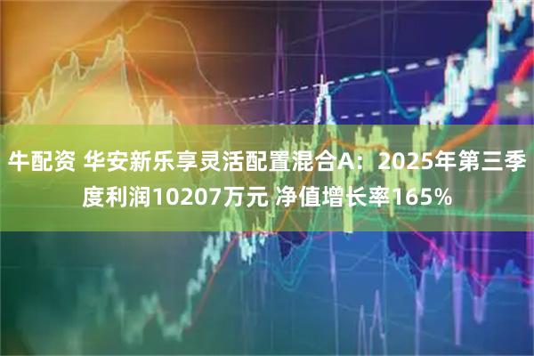 牛配资 华安新乐享灵活配置混合A：2025年第三季度利润10207万元 净值增长率165%